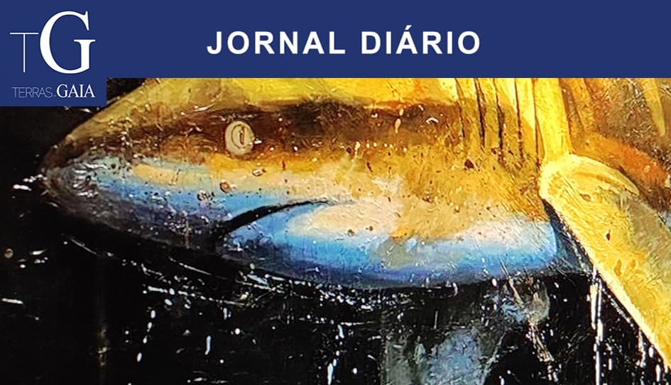 Exposição Ambiental em Gaia