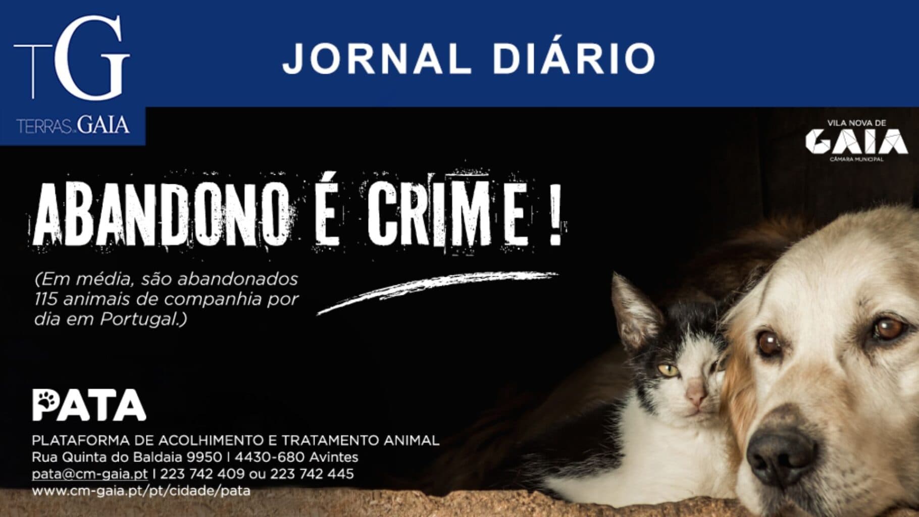 Câmara de Gaia apela ao não abandono animal durante as férias
