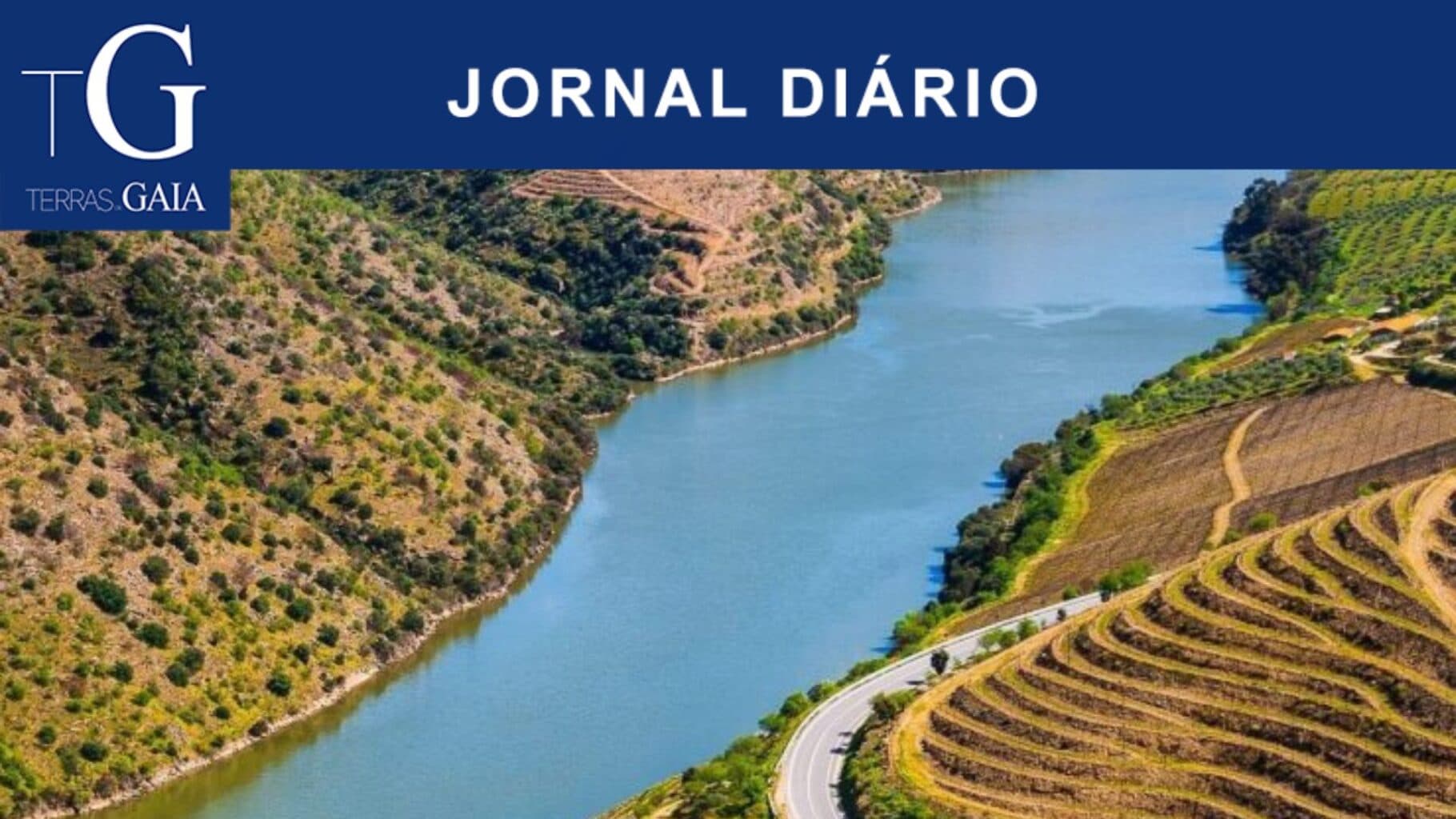 Verão na Bacia do Douro: organizações ambientalistas pedem mais monitorização da qualidade da água
