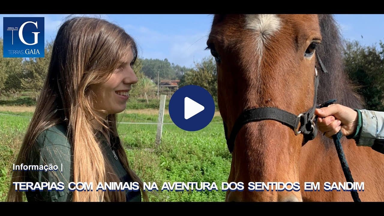 Terapias com animais na aventura dos sentidos, em Sandim