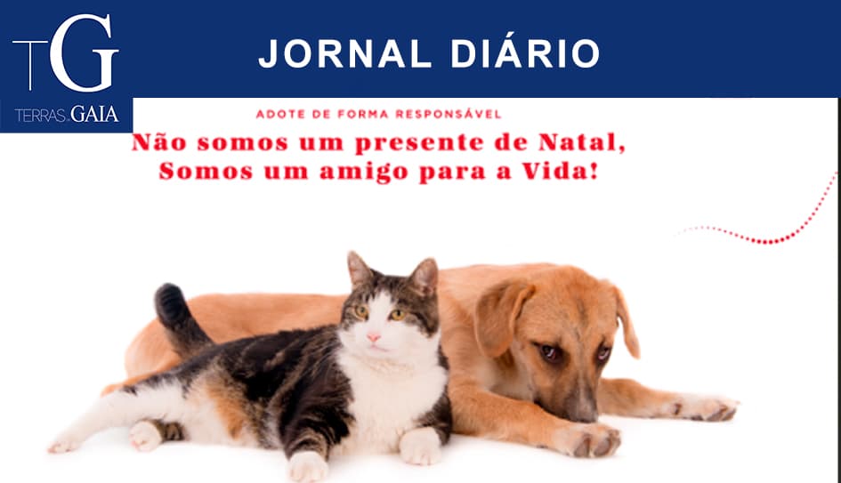 Câmara de Gaia sensibiliza população para adoção animal durante o Natal