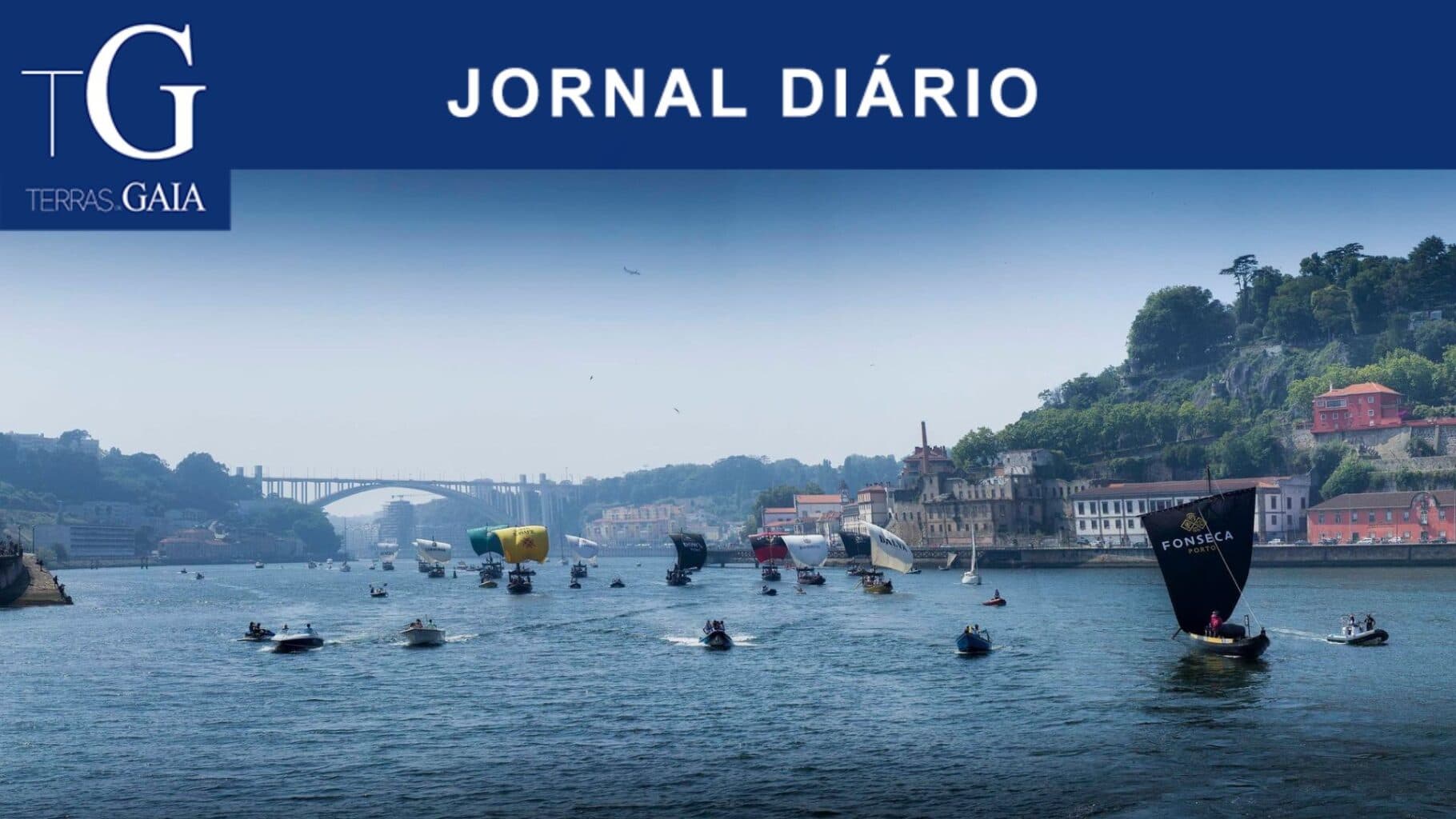 Regata de Barcos Rabelos no Cais da Ribeira